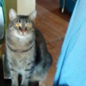 Meet your Posher, Dan